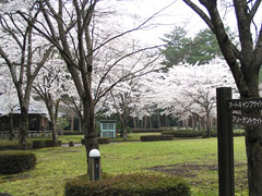那須野が原公園