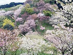 森林総合研究所多摩森林科学園