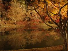用作公園