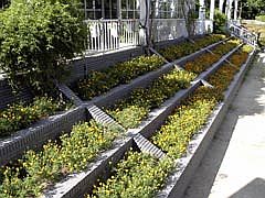 五月山緑地都市緑化植物園