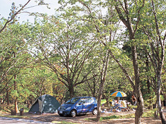 鏡ケ成キャンプ場